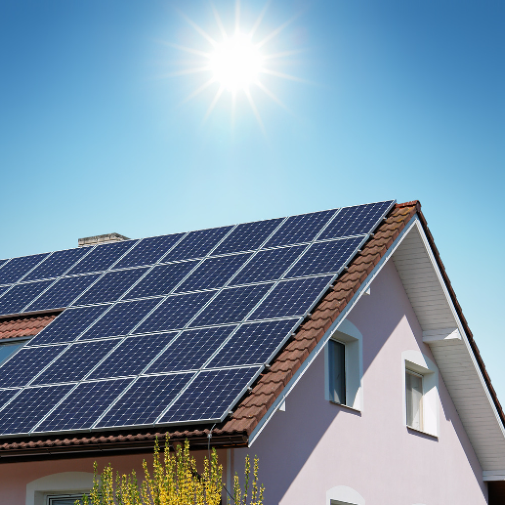 4 1.png